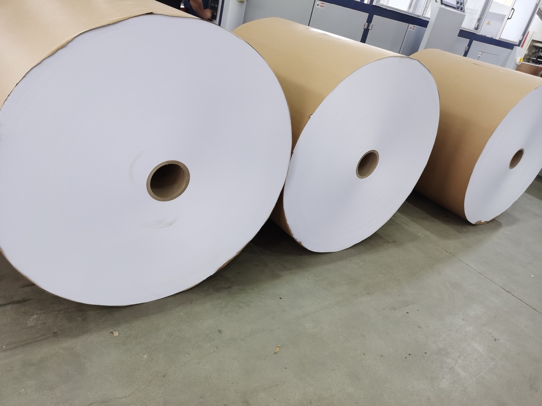 BPA Free 55gsm 520/640/795/800/1035MM Black Image Office Paper Thermal Paper Jumbo Roll