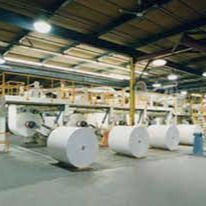 FSC Printing / Label / Medical Thermal Paper Jumbo Roll / Thermal Paper