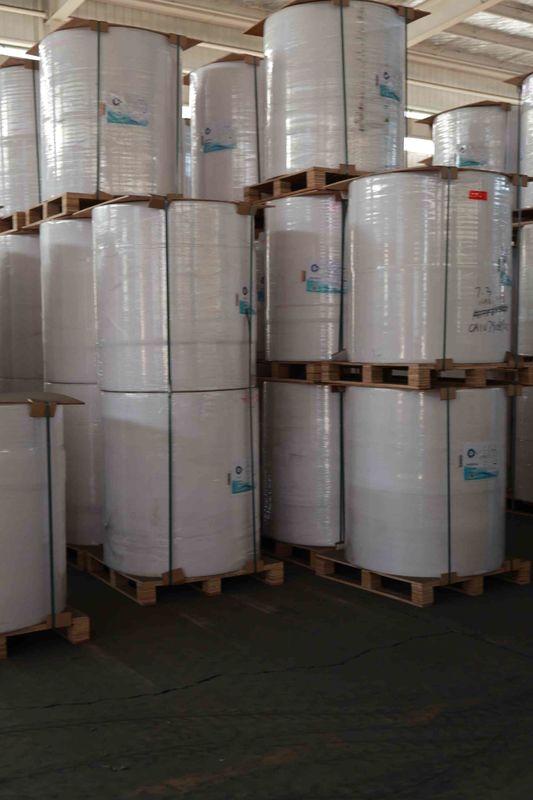 BPA-Free Thermal Paper Roll for POS Receipts, ATM printer paper, oil-resistant thermal roll – 5+ Year Image Life