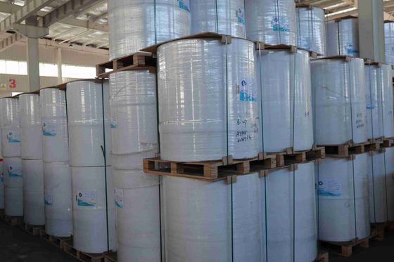 Papel térmico livre de BPA, 100% de madeira virgem importada, alta suavidade, forte tensão, longa vida útil