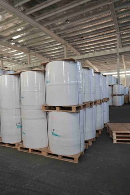 Bobina de Papel Térmico Livre de BPA para Recibos de PDV, Papel para Impressora de Caixa Eletrônico, Bobina Térmica Resistente a Óleo – Vida Útil da Imagem de 5+ Anos