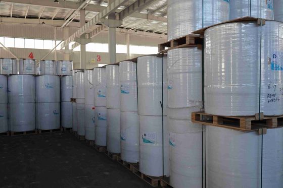 Papel térmico de marca livre de foco BPA Alta suavidade Densidade óptica adequada 100% Pulpa de madeira importada